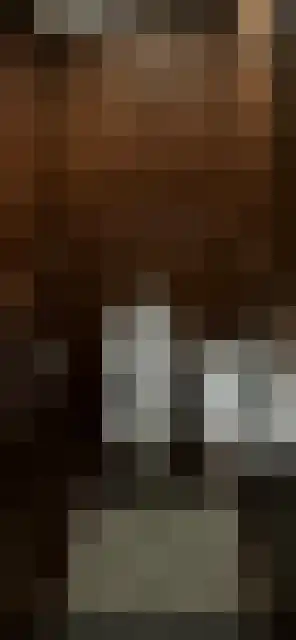 De Drie Rozen 22 Bedum thumbnail 29
