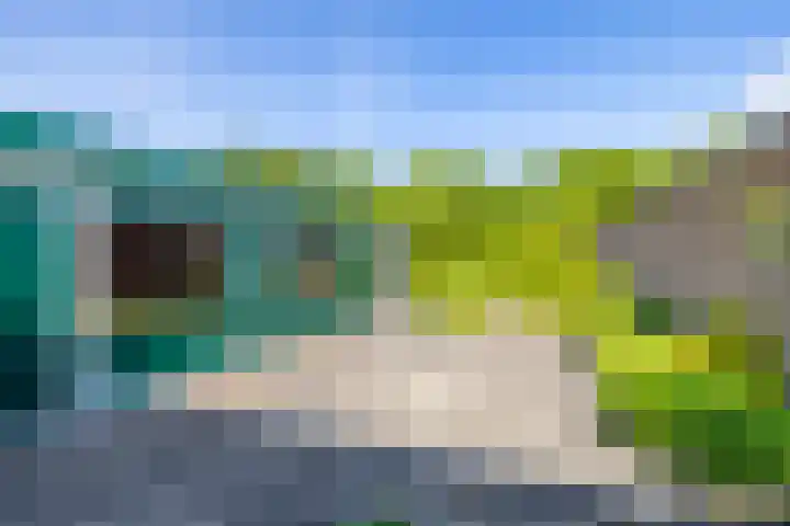 De Drie Rozen 22 Bedum thumbnail 36