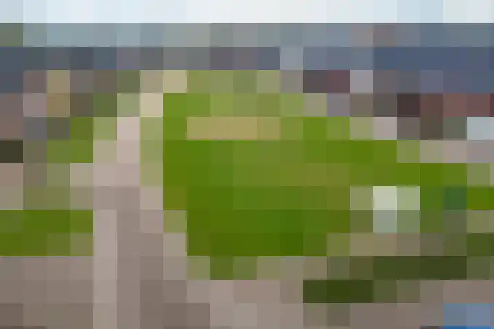 De Drie Rozen 22 Bedum thumbnail 37