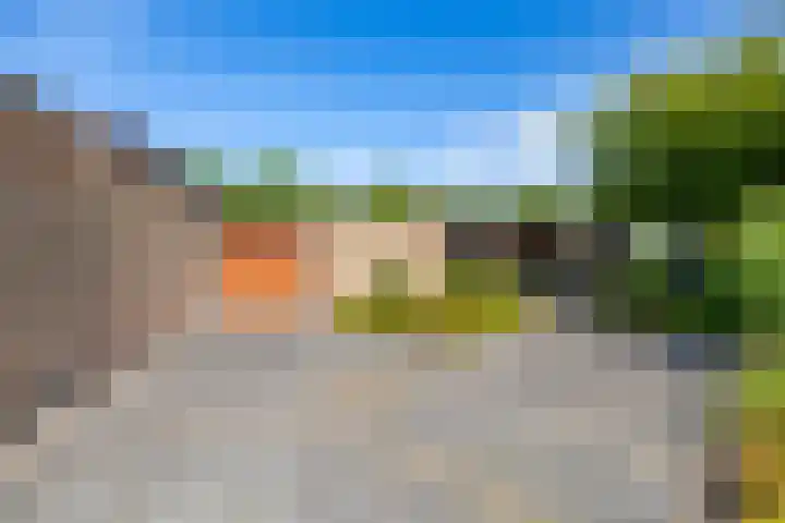 De Drie Rozen 22 Bedum thumbnail 4