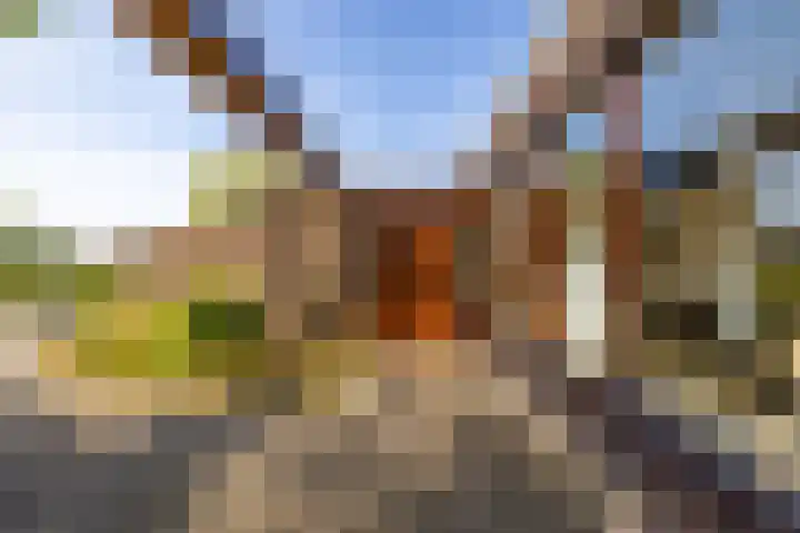 De Drie Rozen 22 Bedum thumbnail 6