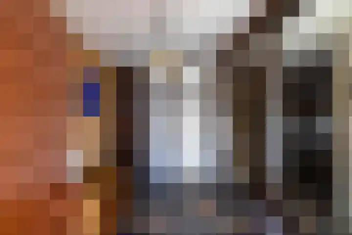 De Drie Rozen 22 Bedum thumbnail 7