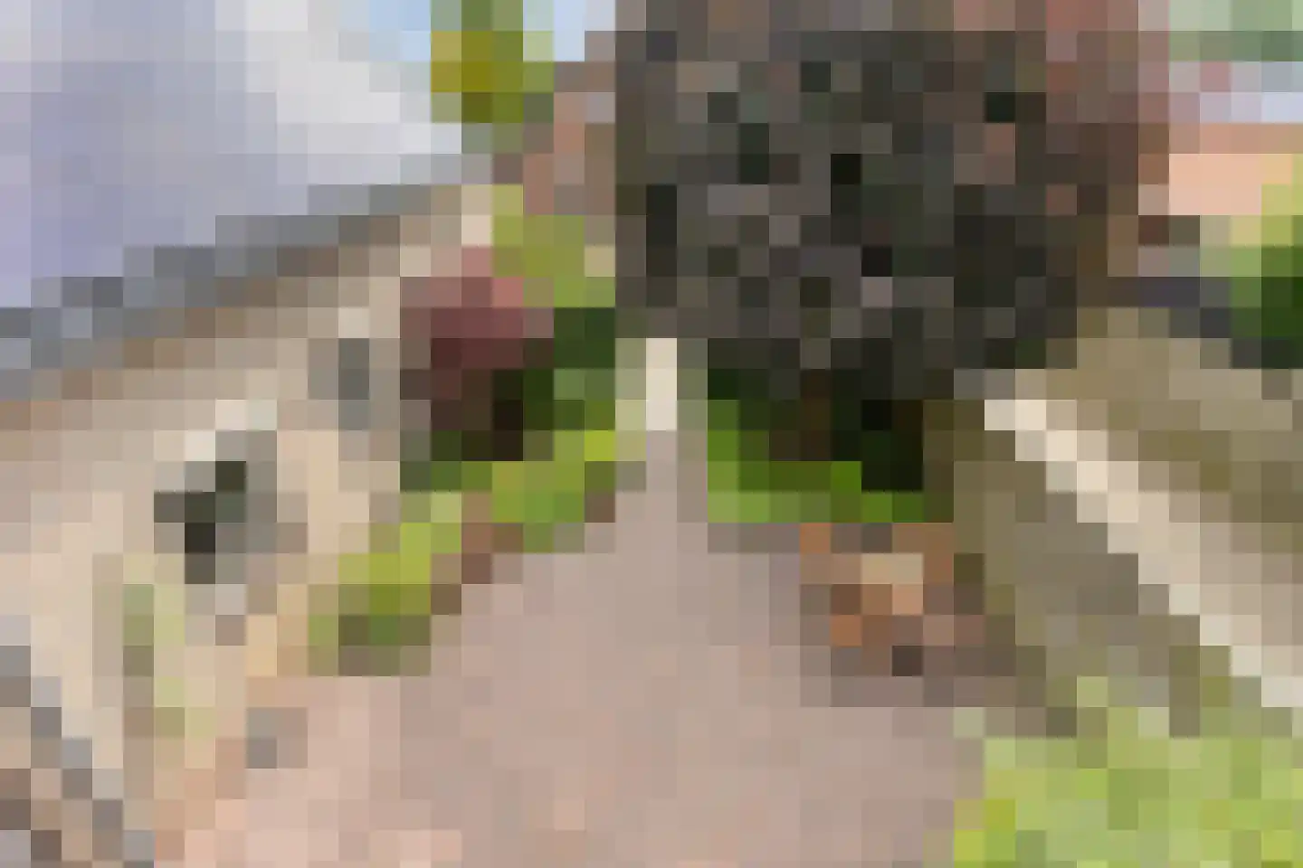 De Driehoek 3 IJzendoorn thumbnail 41