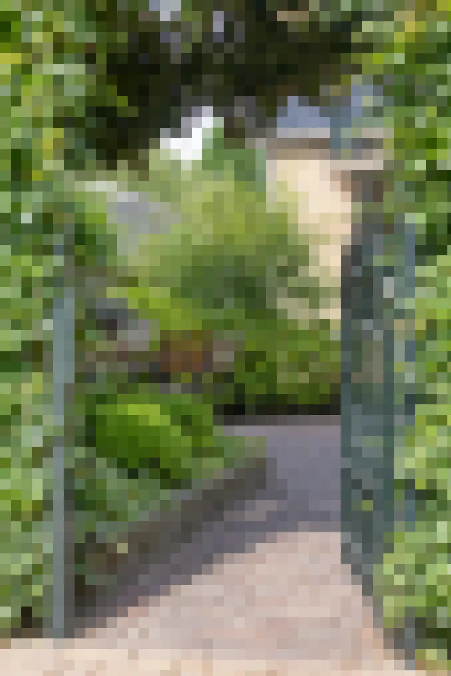 De Driehoek 3 IJzendoorn thumbnail 42