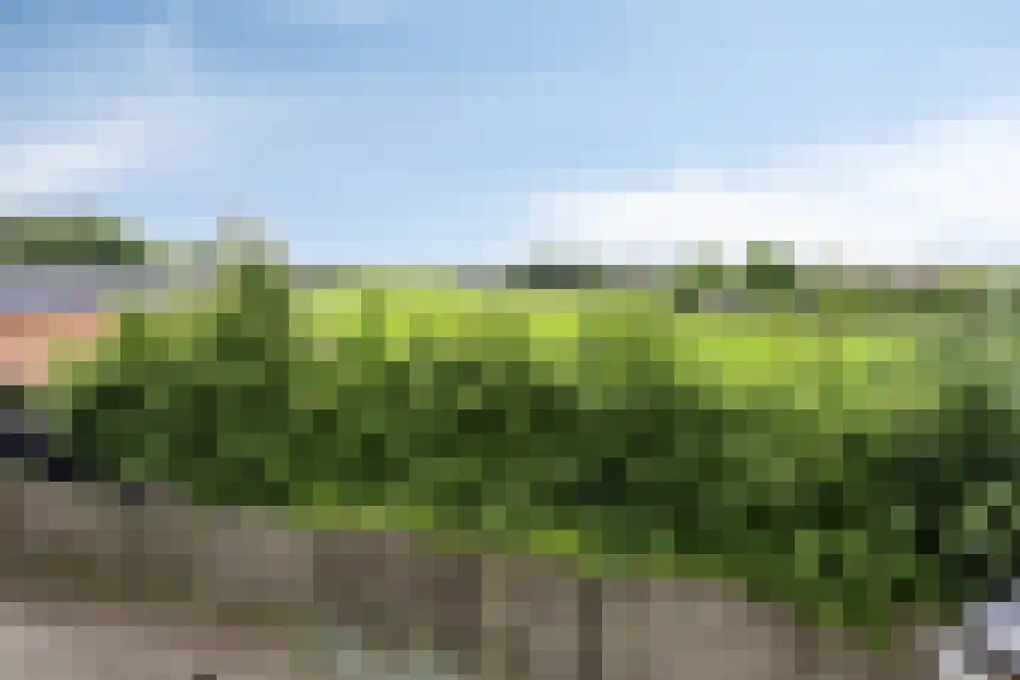 De Driehoek 3 IJzendoorn thumbnail 43