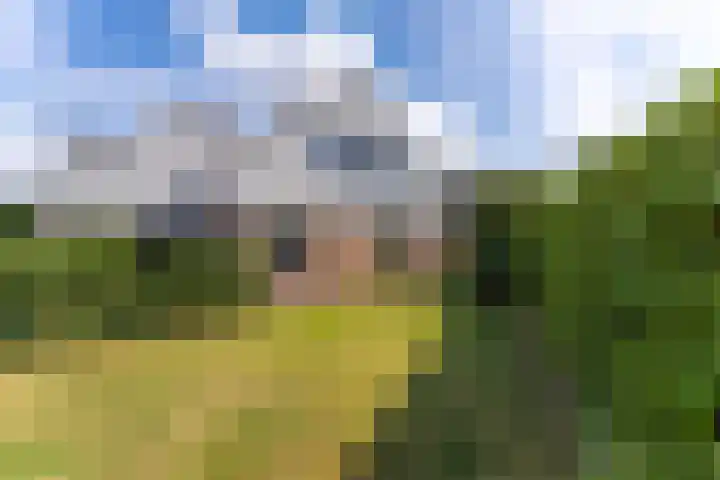 De Driekoningen 22 's-Heerenberg thumbnail 50