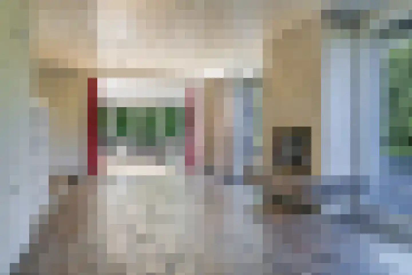 De Driekoningen 24 's-Heerenberg thumbnail 14