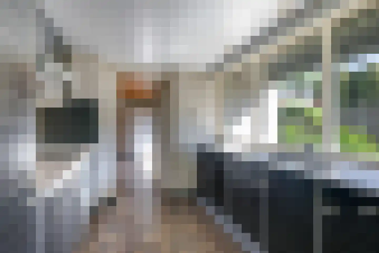 De Driekoningen 24 's-Heerenberg thumbnail 20