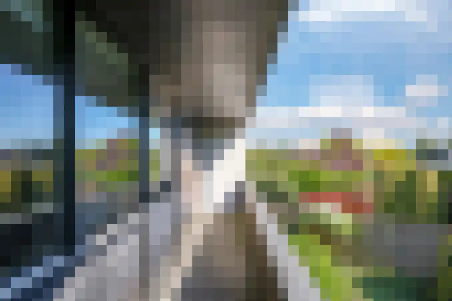 De Driekoningen 24 's-Heerenberg thumbnail 37