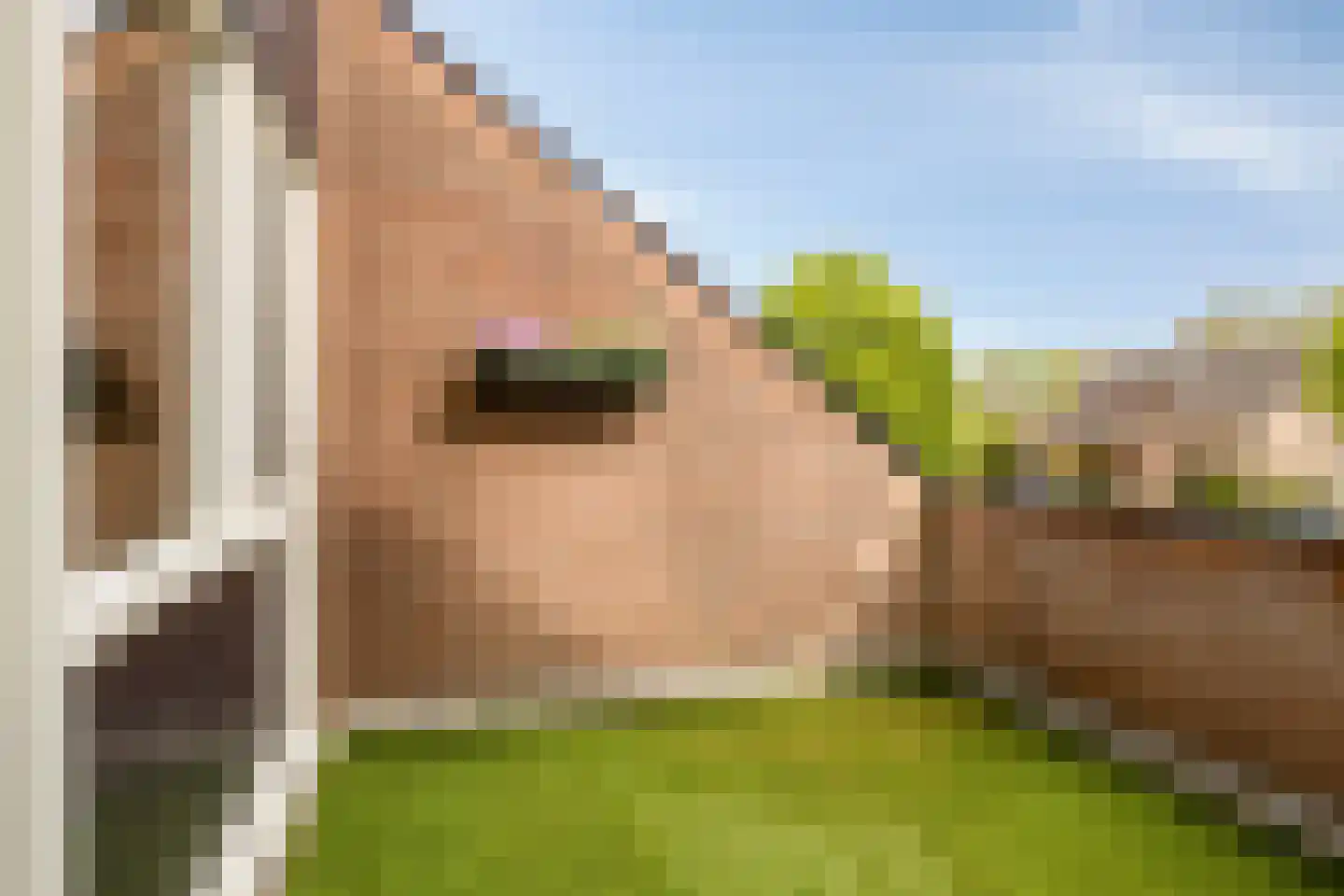 De Driekoningen 3 's-Heerenberg thumbnail 30