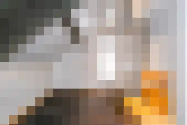 De Driekoningen 31 's-Heerenberg thumbnail 31