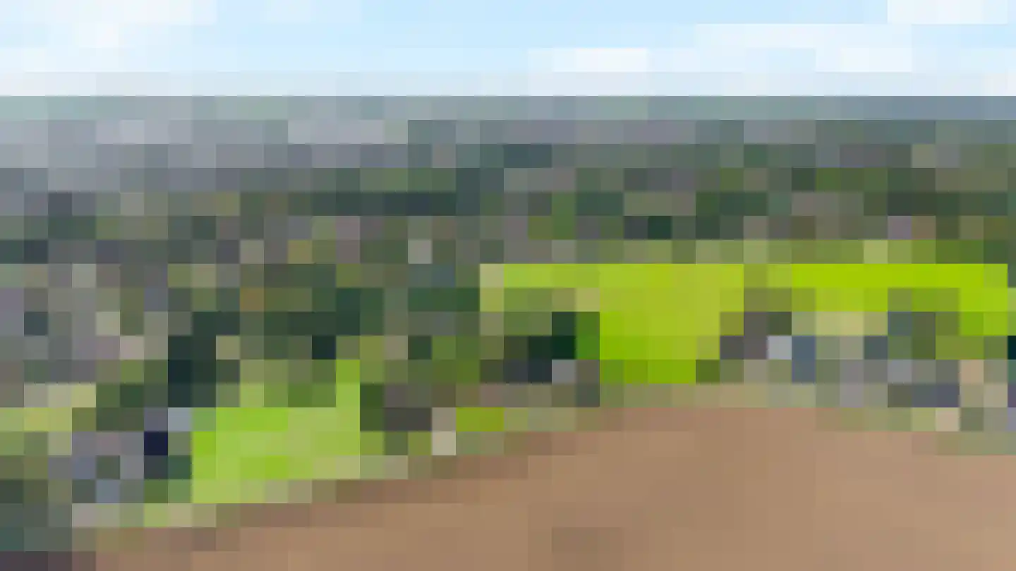 De Driekoningen 33 's-Heerenberg thumbnail 60