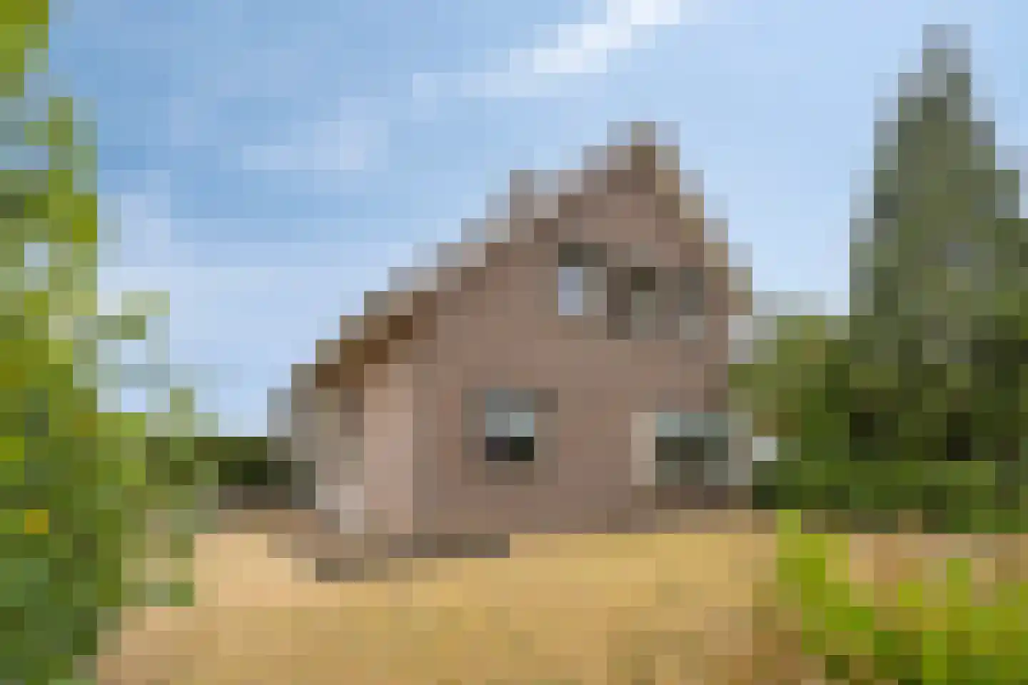 De Driekoningen 46 's-Heerenberg thumbnail 5