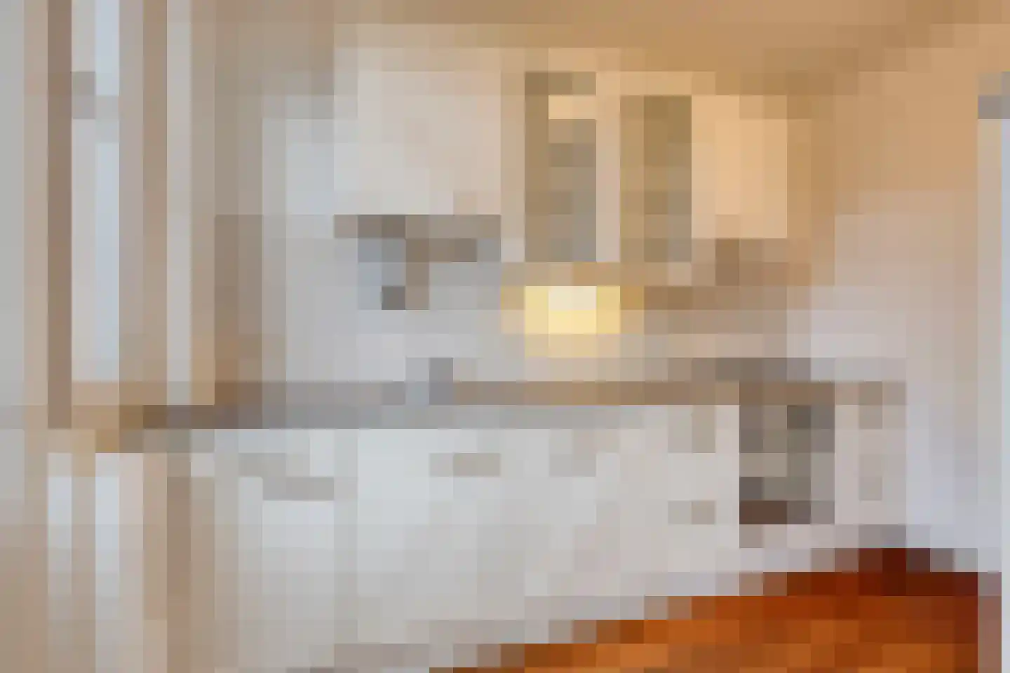 De Dries 14 Schaijk thumbnail 15