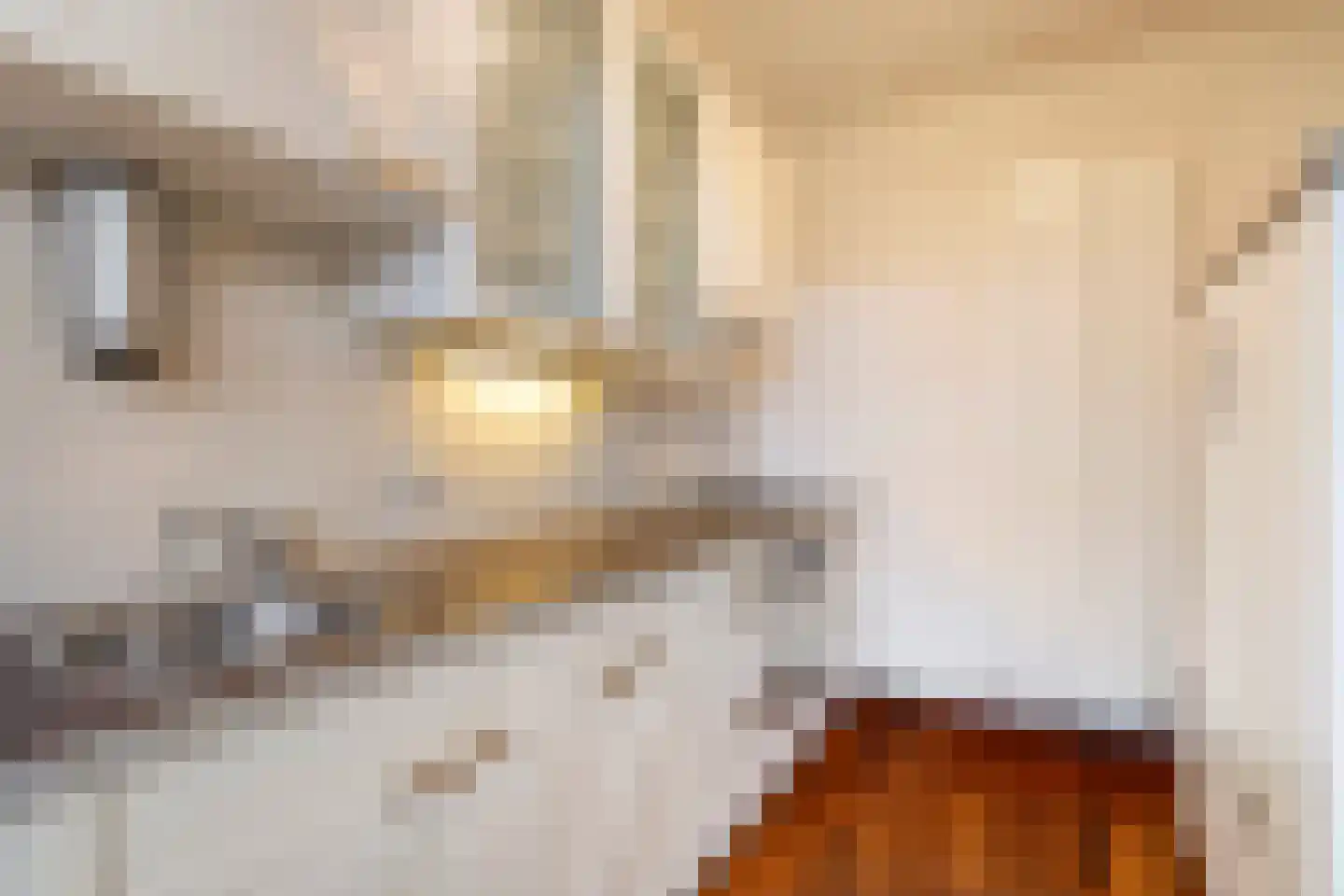 De Dries 14 Schaijk thumbnail 16