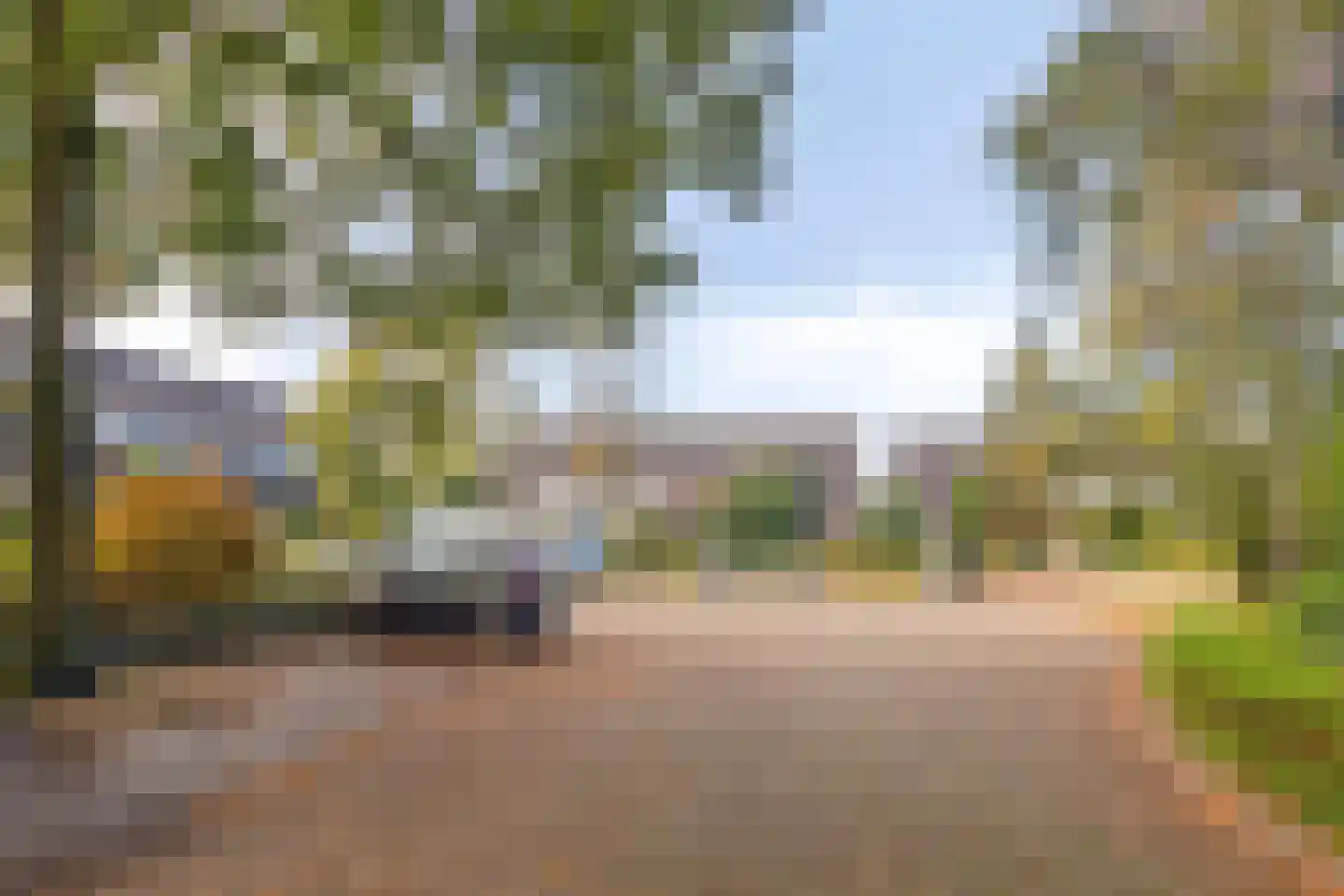 De Dries 14 Schaijk thumbnail 35