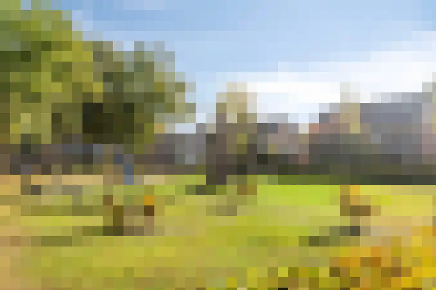 De Dries 14 Schaijk thumbnail 36