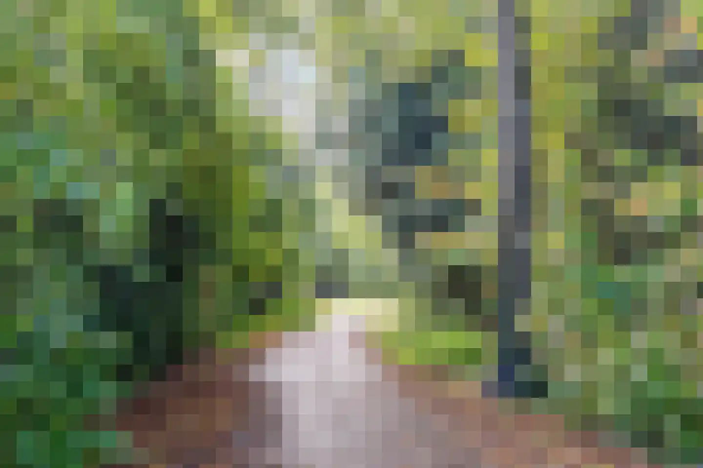 De Dries 14 Schaijk thumbnail 37