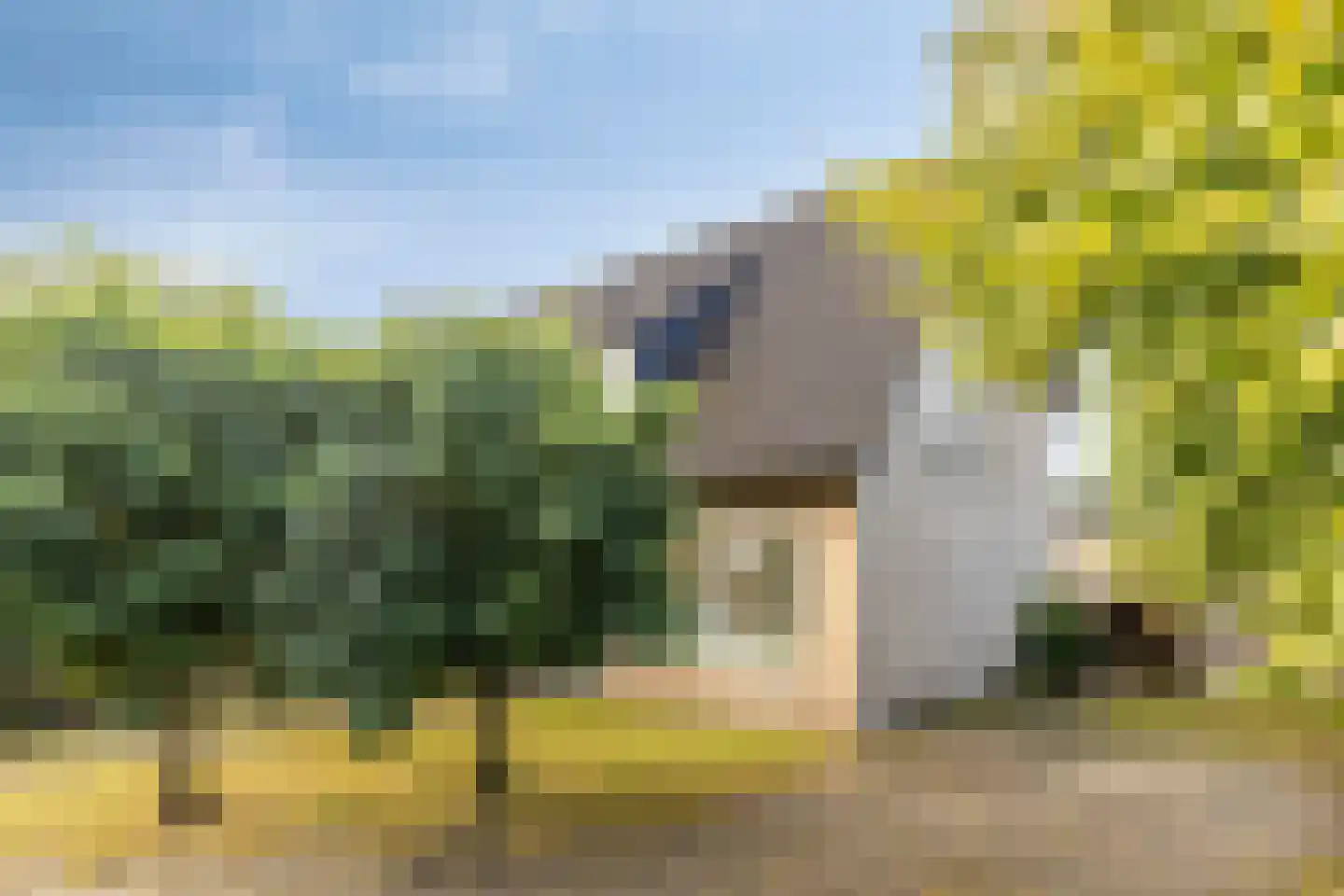 De Dries 14 Schaijk thumbnail 5