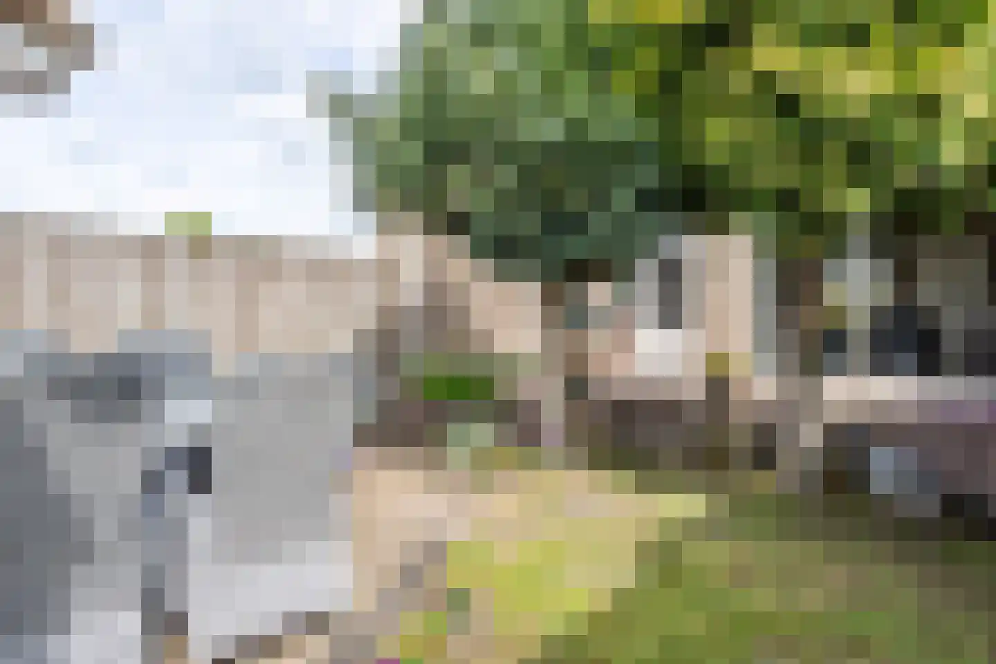 De Dries 16 Schaijk thumbnail 11