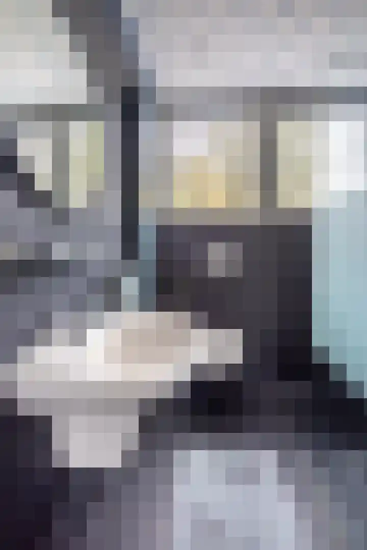 De Dries 16 Schaijk thumbnail 27