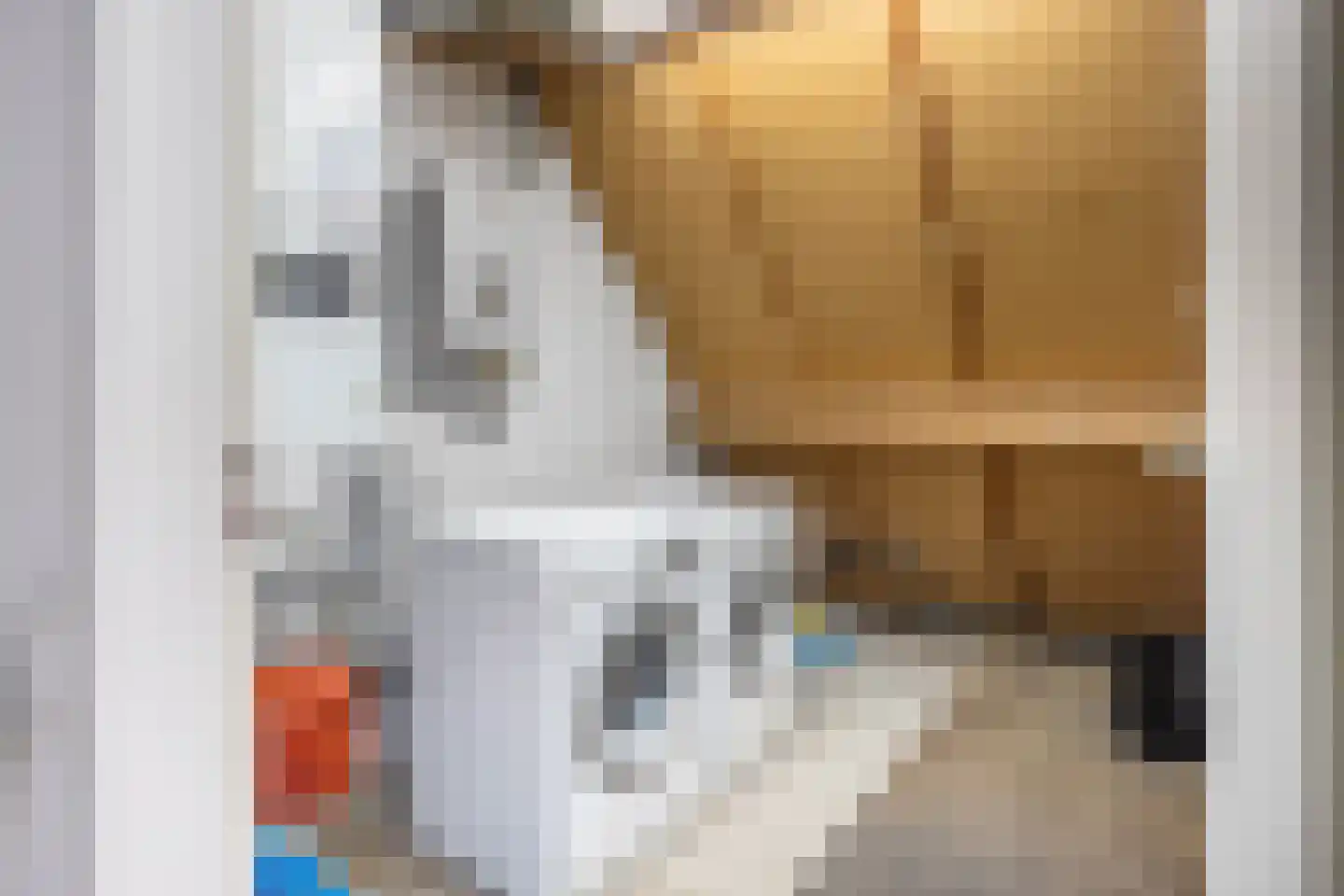 De Dries 16 Schaijk thumbnail 33