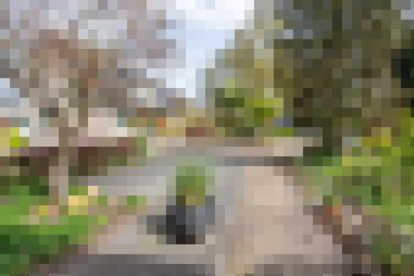 De Dries 16 Schaijk thumbnail 7