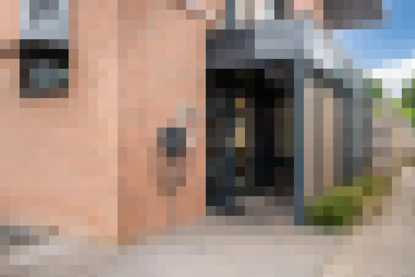 De Dries 2 Heteren thumbnail 10