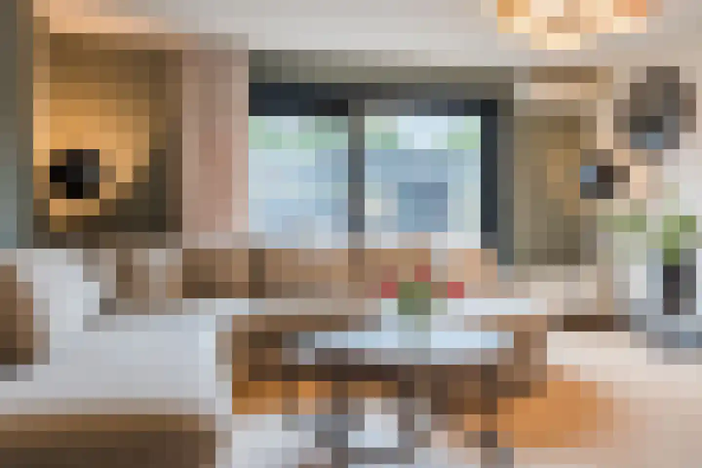 De Dries 2 Heteren thumbnail 16