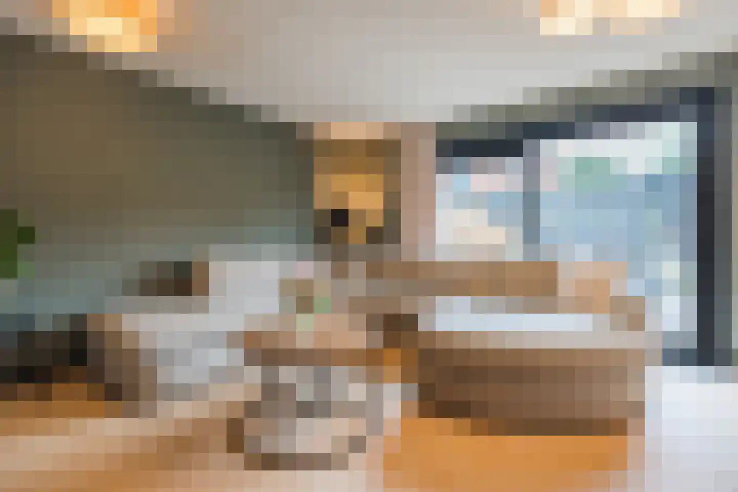 De Dries 2 Heteren thumbnail 17