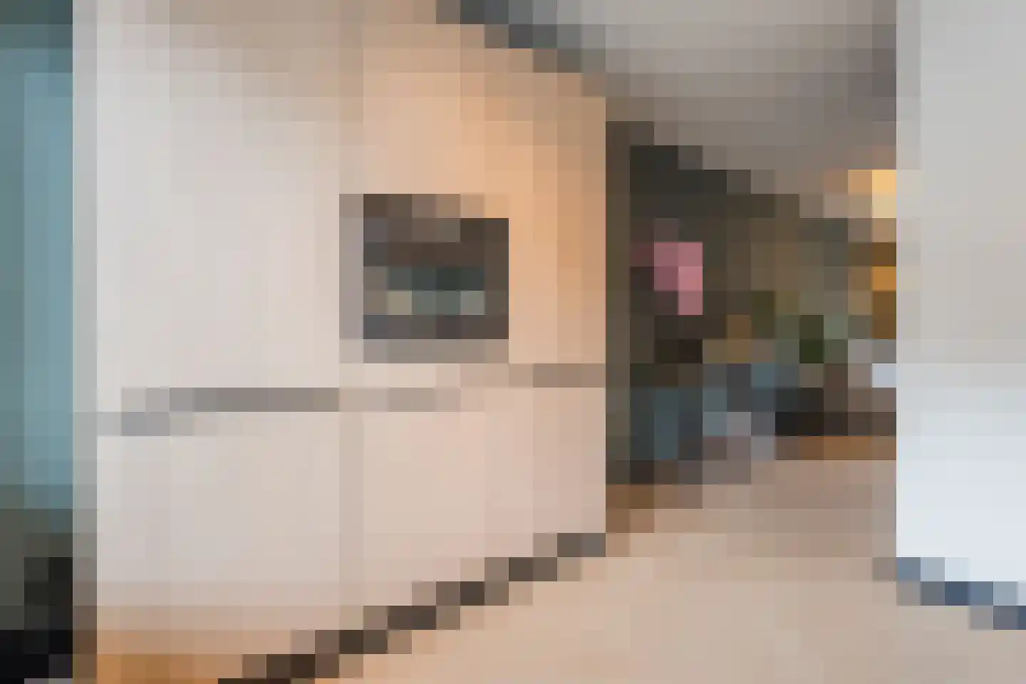 De Dries 2 Heteren thumbnail 22
