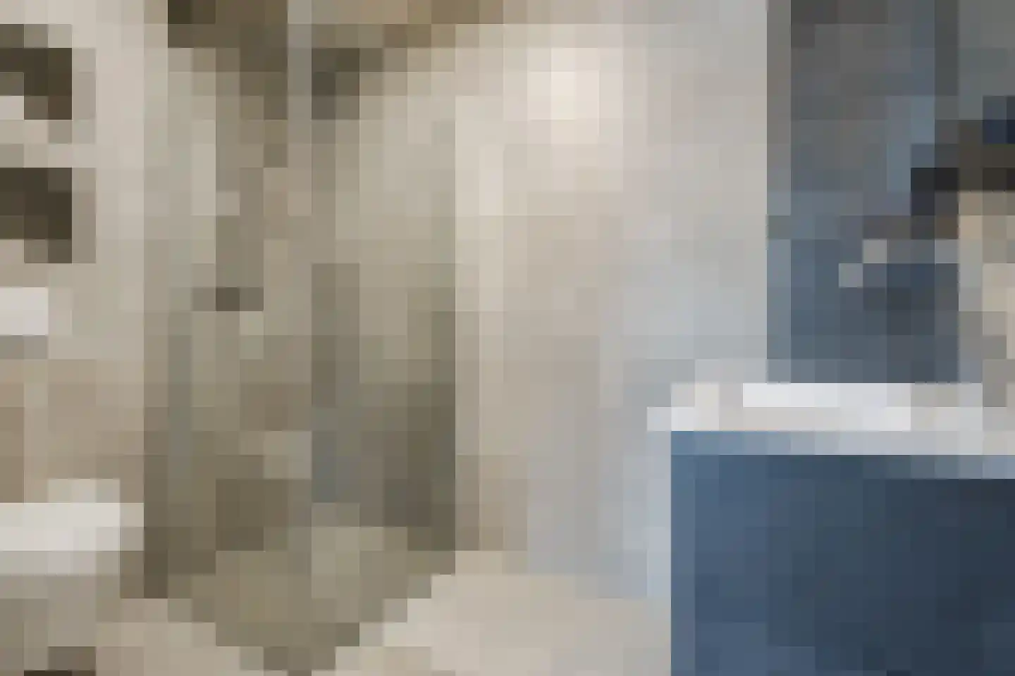 De Dries 2 Heteren thumbnail 31