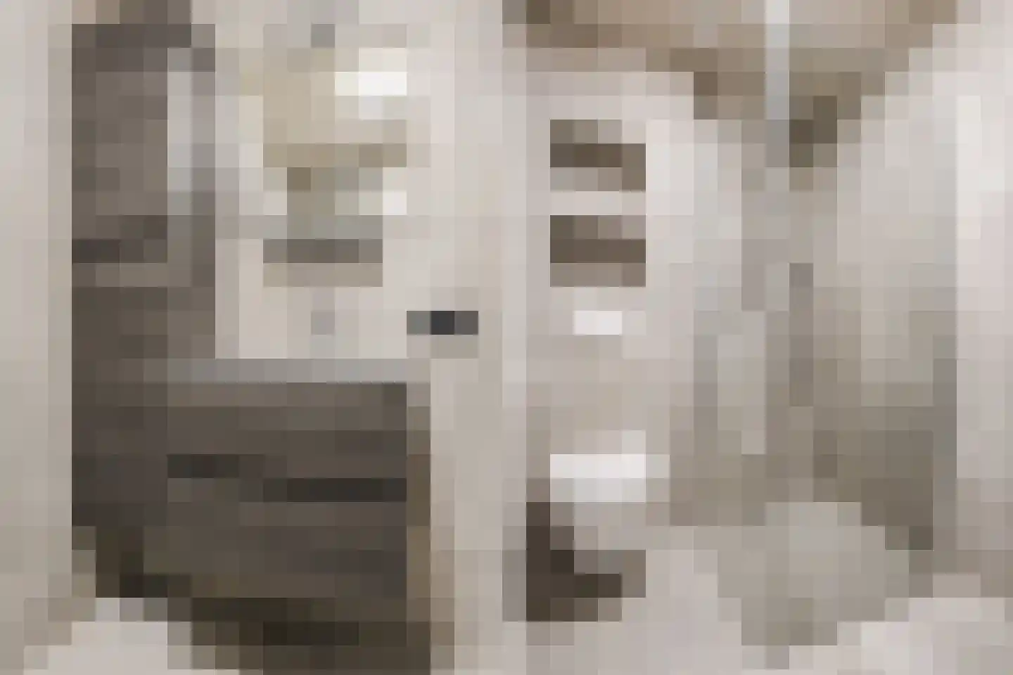 De Dries 2 Heteren thumbnail 35