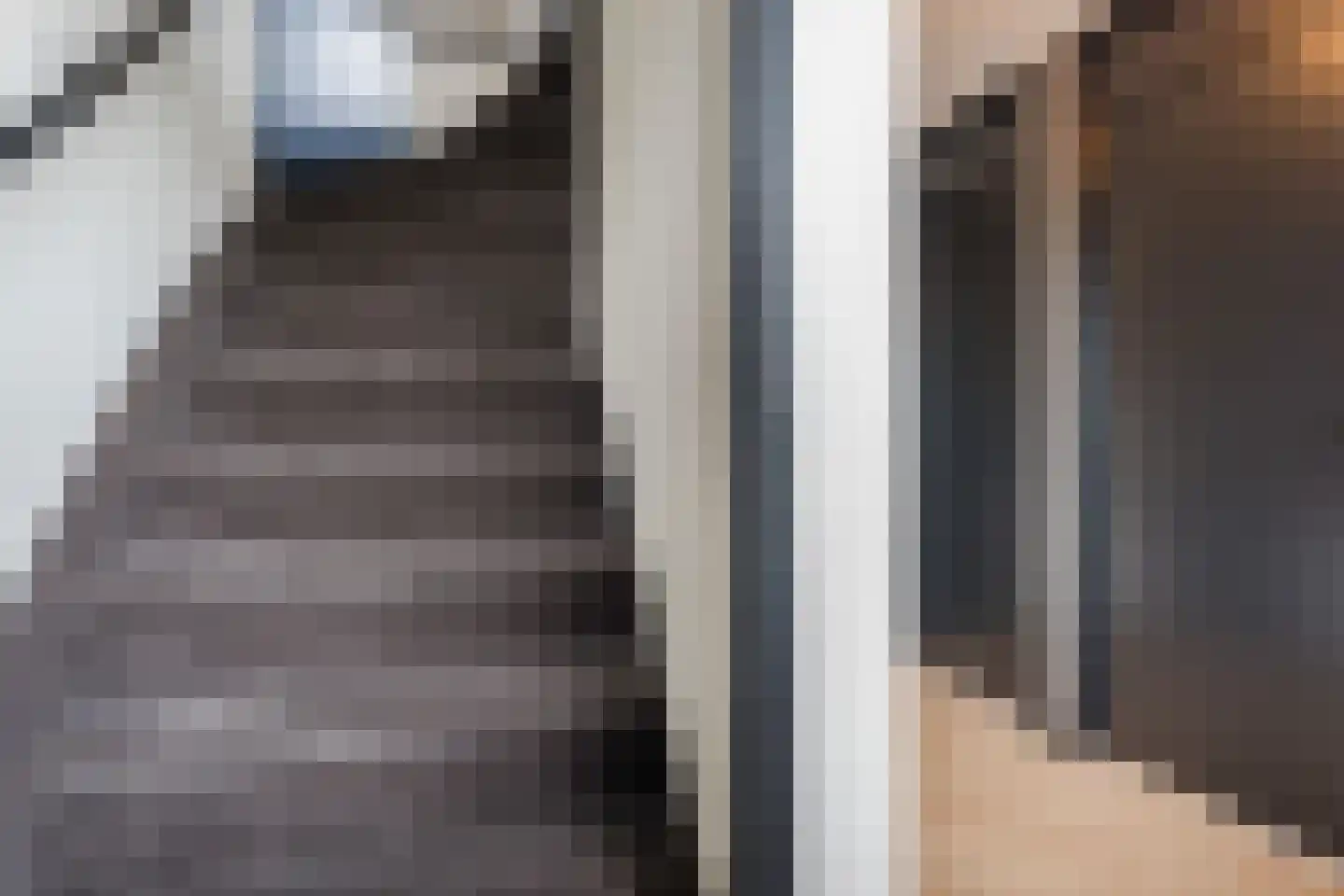 De Dries 2 Heteren thumbnail 38