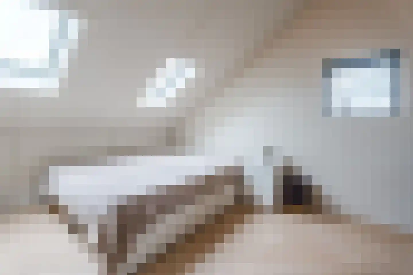De Dries 2 Heteren thumbnail 39