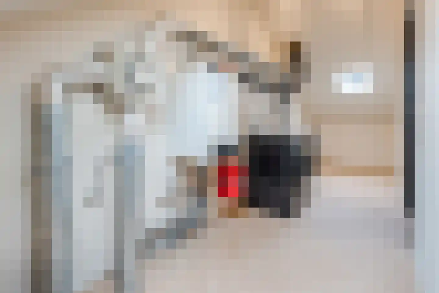 De Dries 2 Heteren thumbnail 44