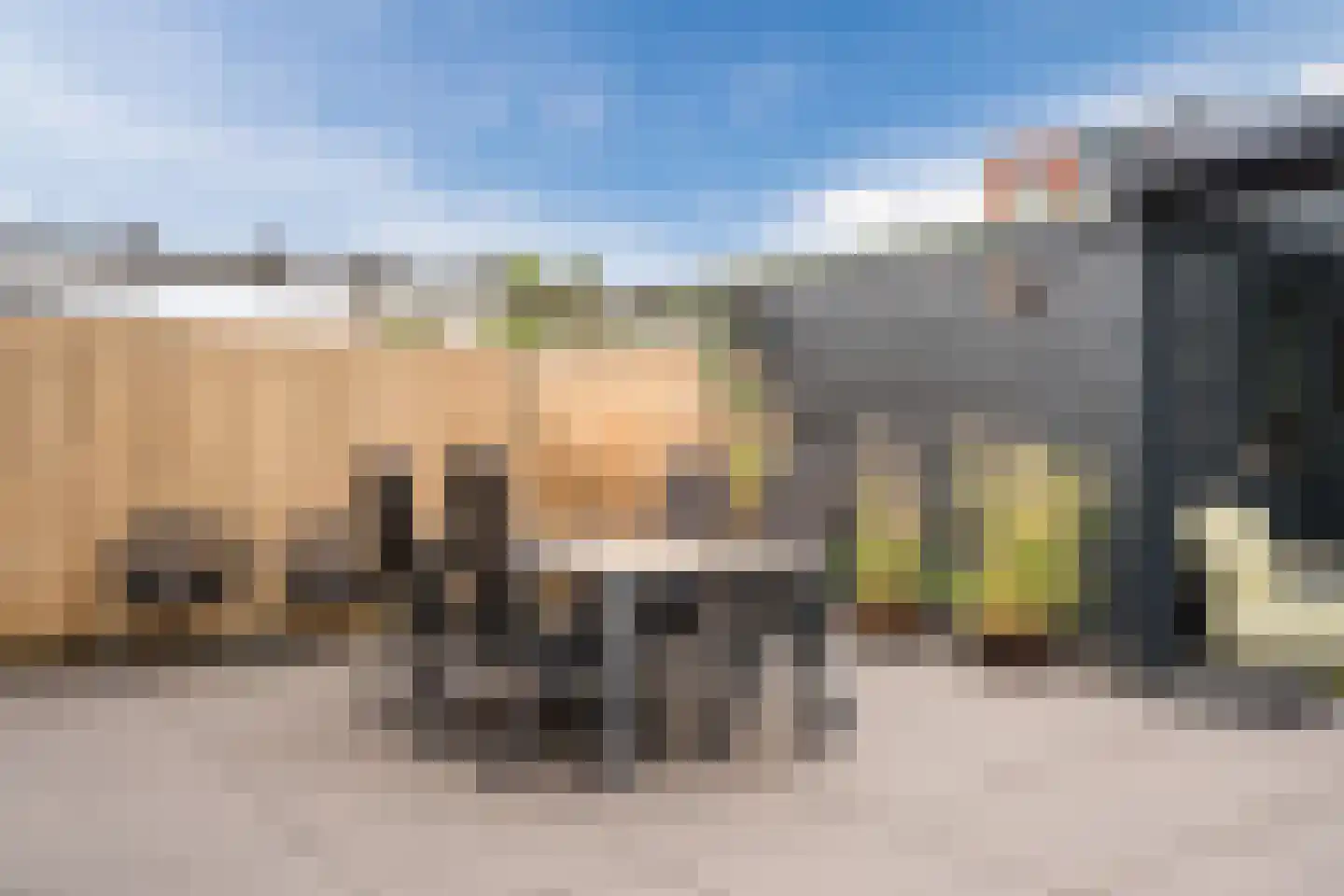De Dries 2 Heteren thumbnail 47
