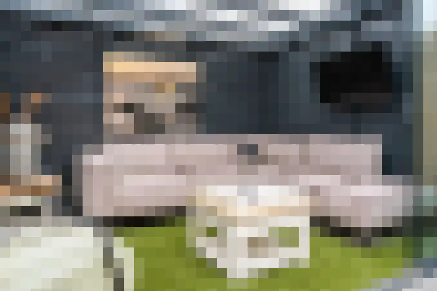 De Dries 2 Heteren thumbnail 48