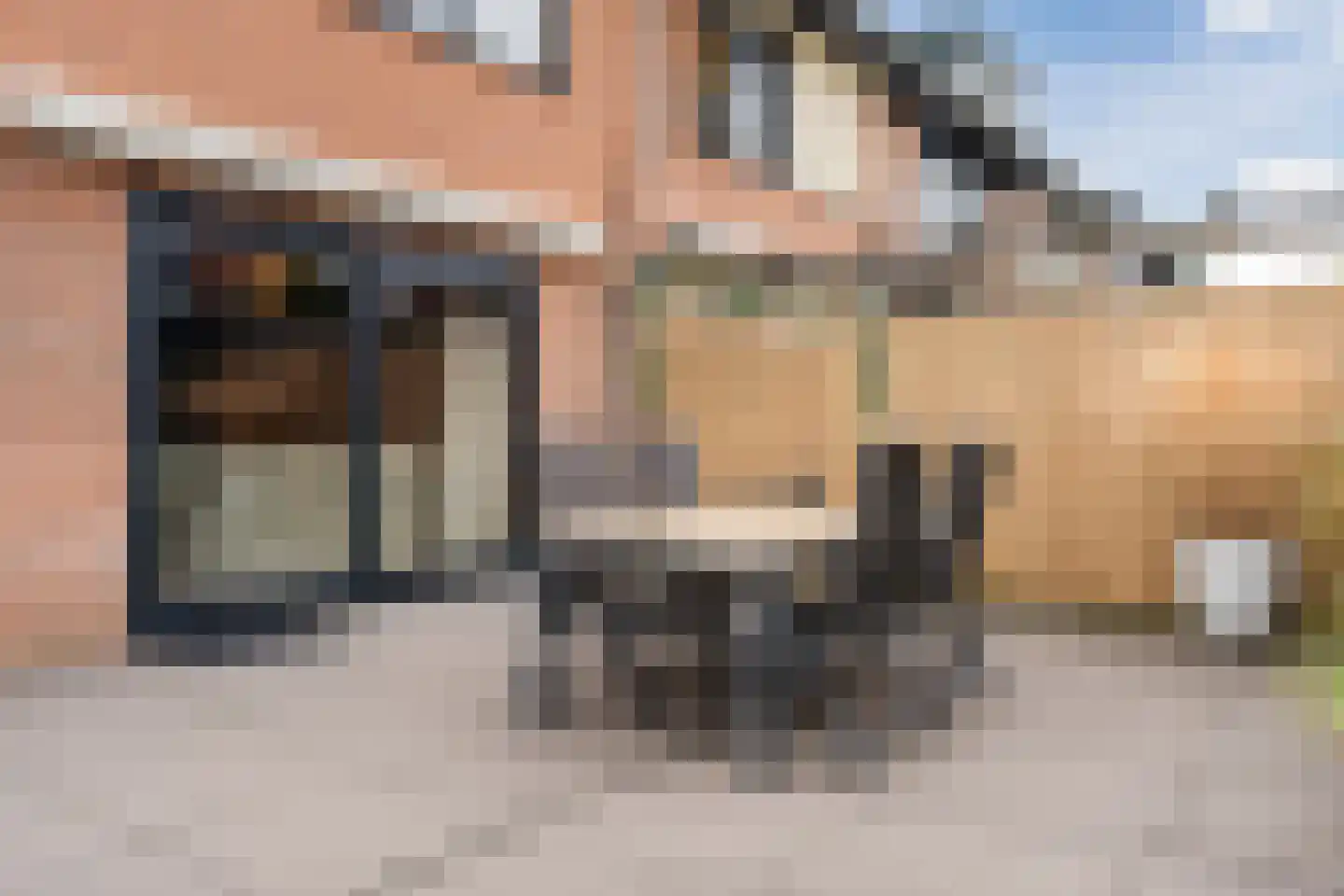 De Dries 2 Heteren thumbnail 49