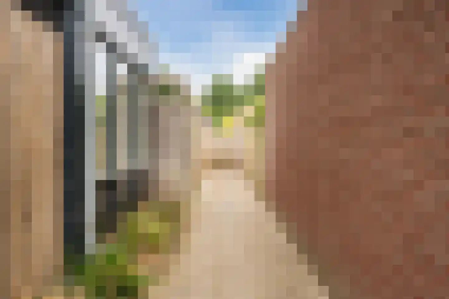 De Dries 2 Heteren thumbnail 51