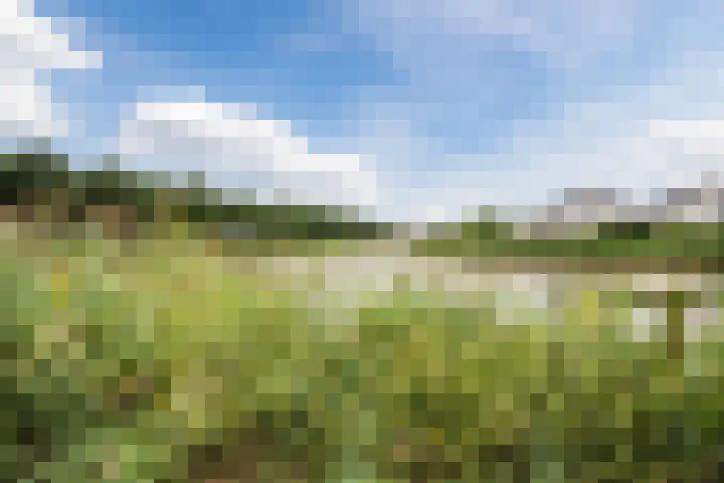 De Dries 2 Heteren thumbnail 52