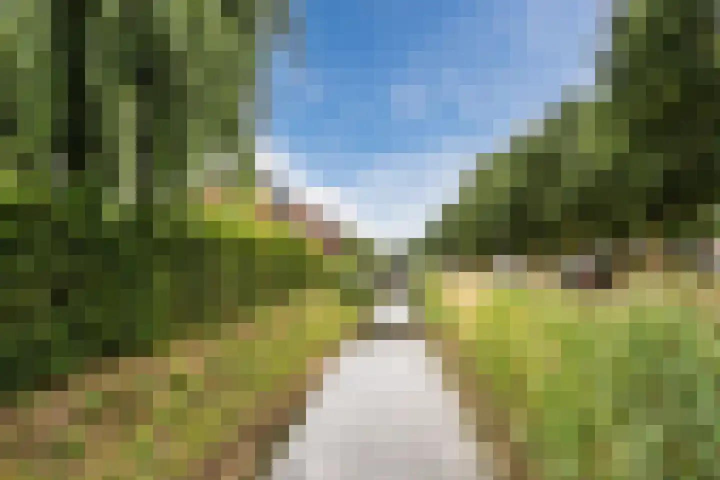 De Dries 2 Heteren thumbnail 53