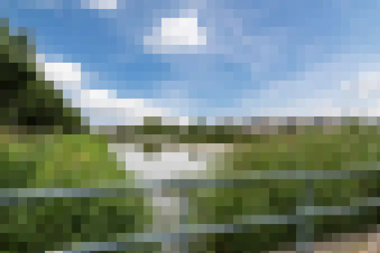 De Dries 2 Heteren thumbnail 54
