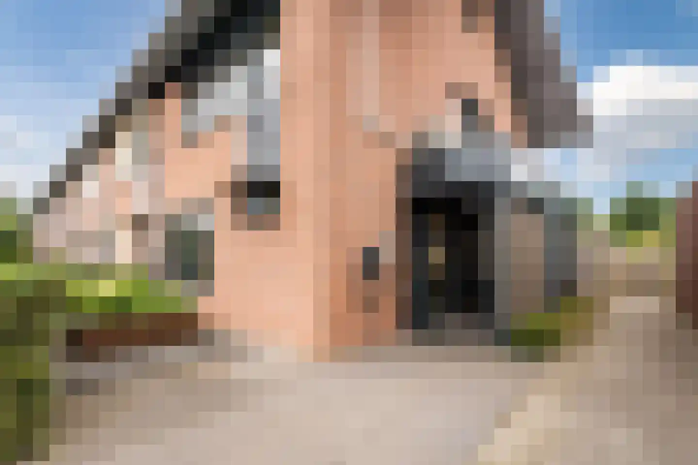 De Dries 2 Heteren thumbnail 9