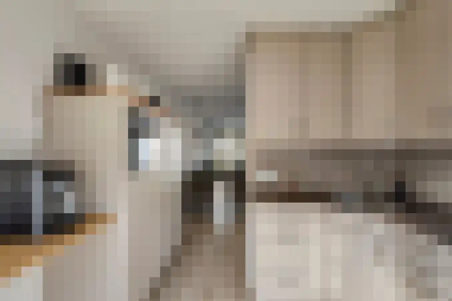 De Dries 20 Heteren thumbnail 16
