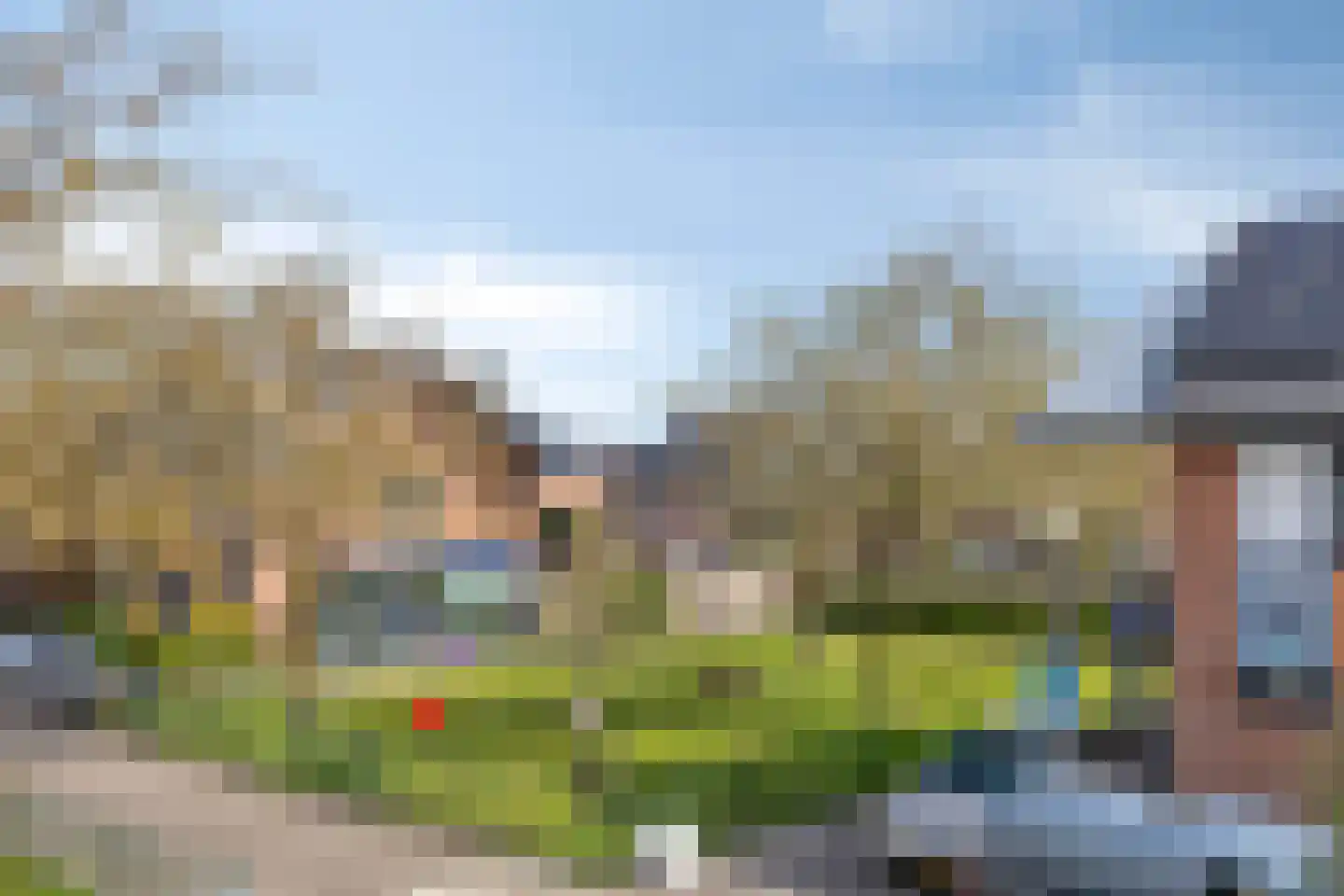 De Dries 20 Heteren thumbnail 23