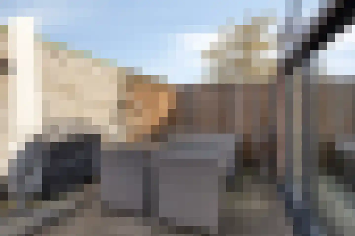 De Dries 20 Heteren thumbnail 32