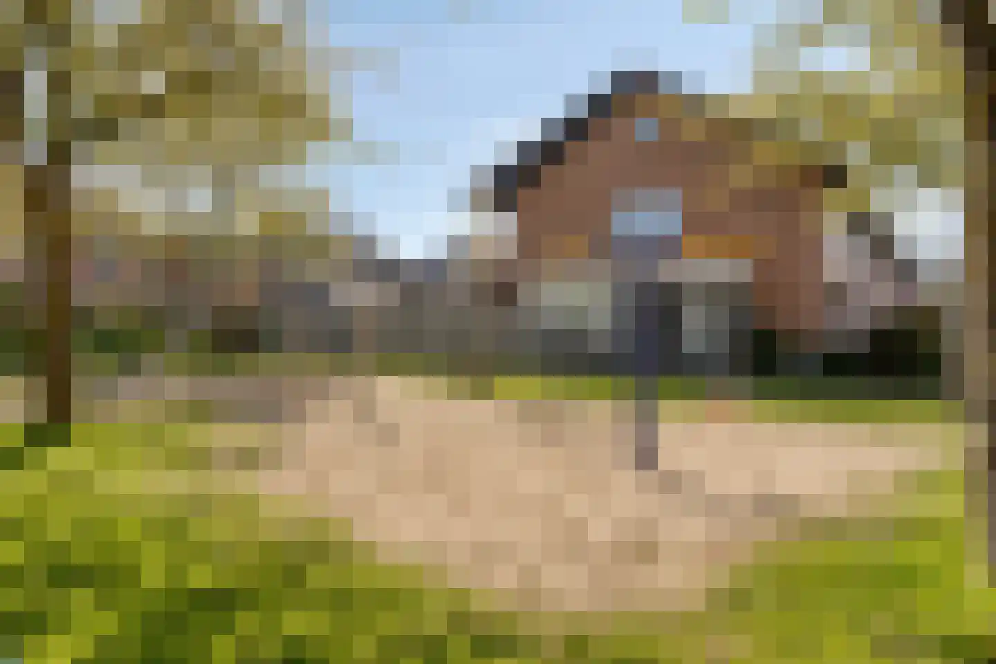 De Dries 20 Heteren thumbnail 35