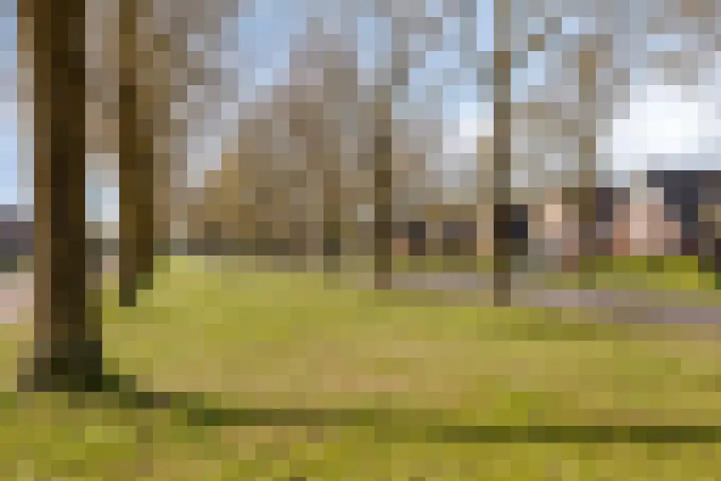 De Dries 20 Heteren thumbnail 36