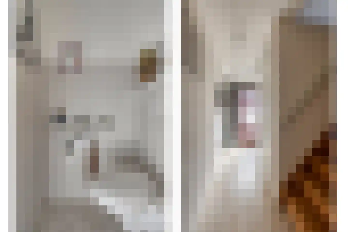 De Dries 20 Heteren thumbnail 9